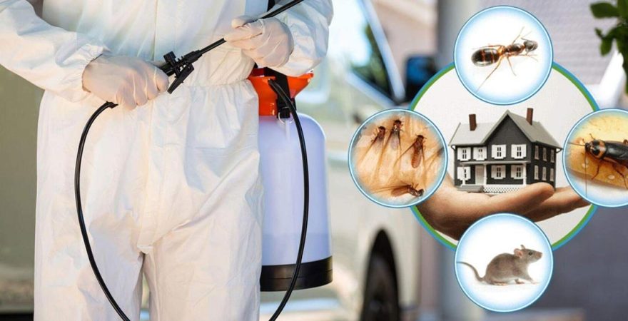 Karacabey Böcek İlaçlama