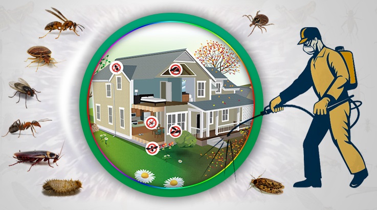 Karacabey Böcek İlaçlama