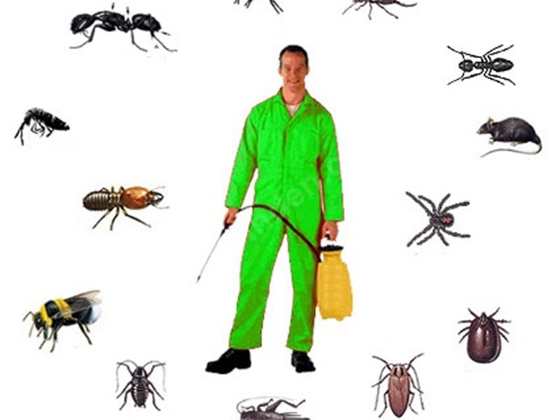 Karacabey Böcek İlaçlama