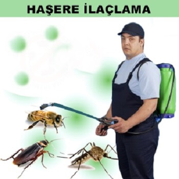 Karacabey Böcek İlaçlama